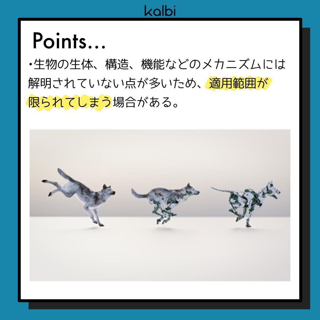 Bionics Method - ポイント