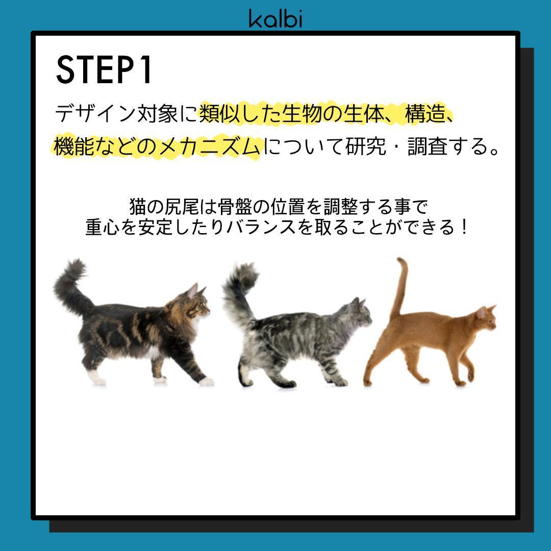 Bionics Method - ステップ2